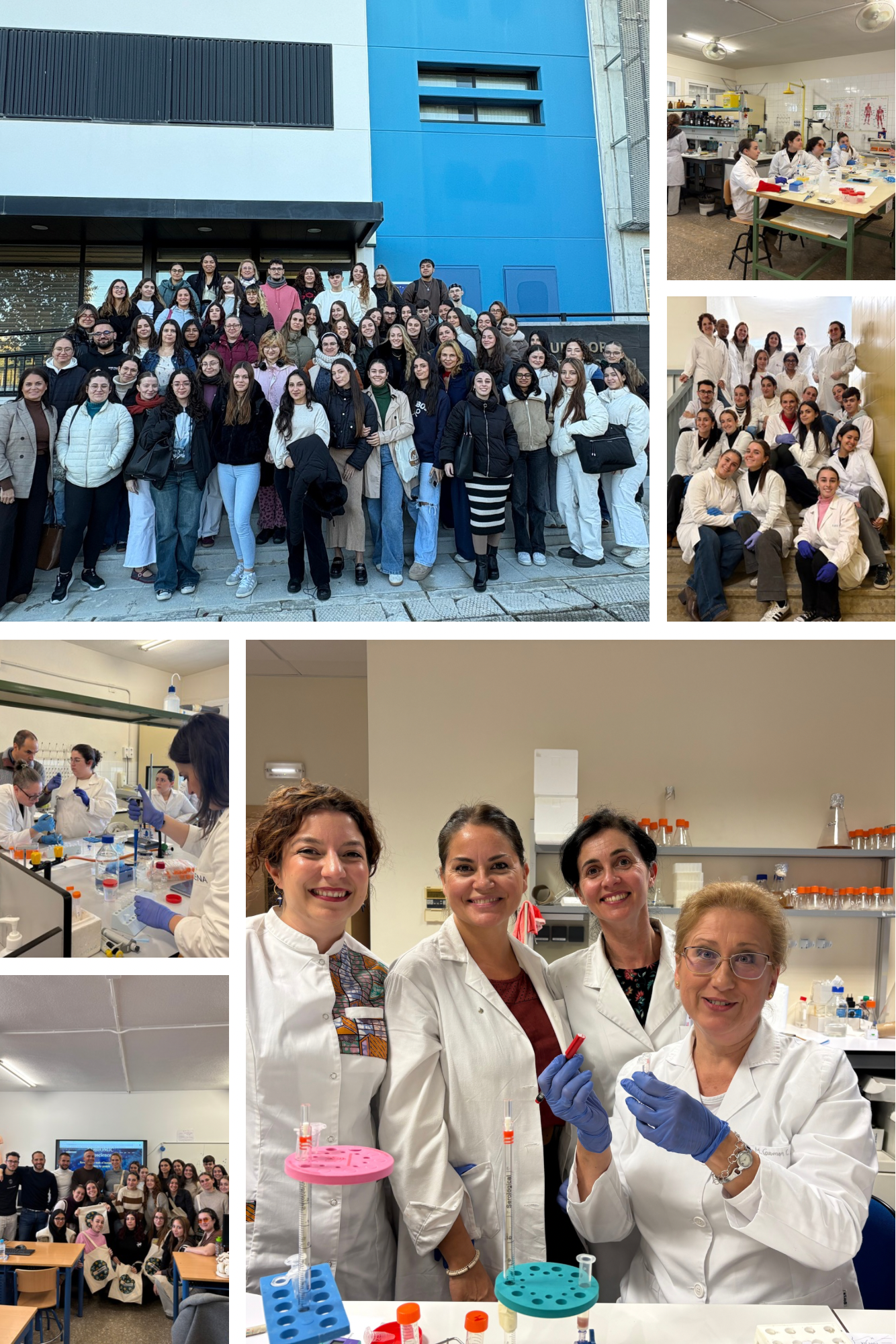 Collage de Fotos Pareja Viaje Creativo Ordenado Colores Pastel